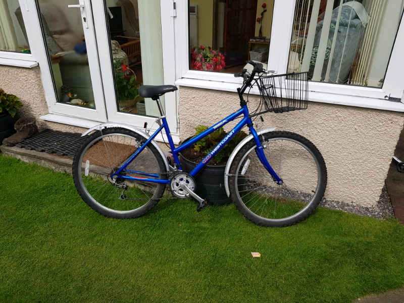 ladies bicycle gumtree